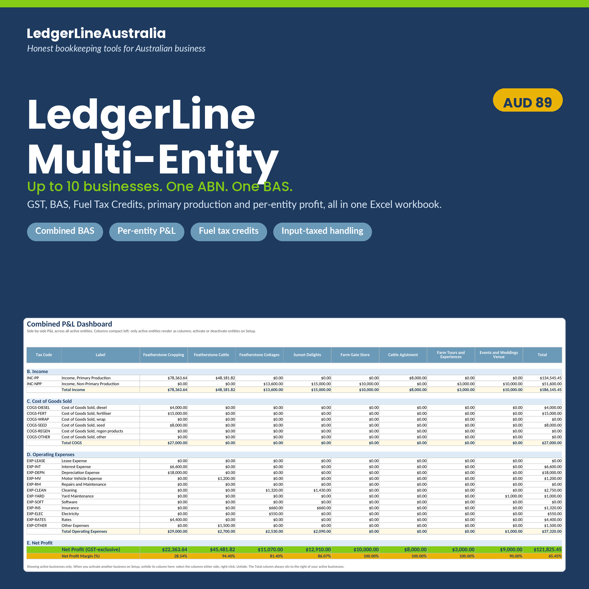 LedgerLine Multi-Entity workbook hero image