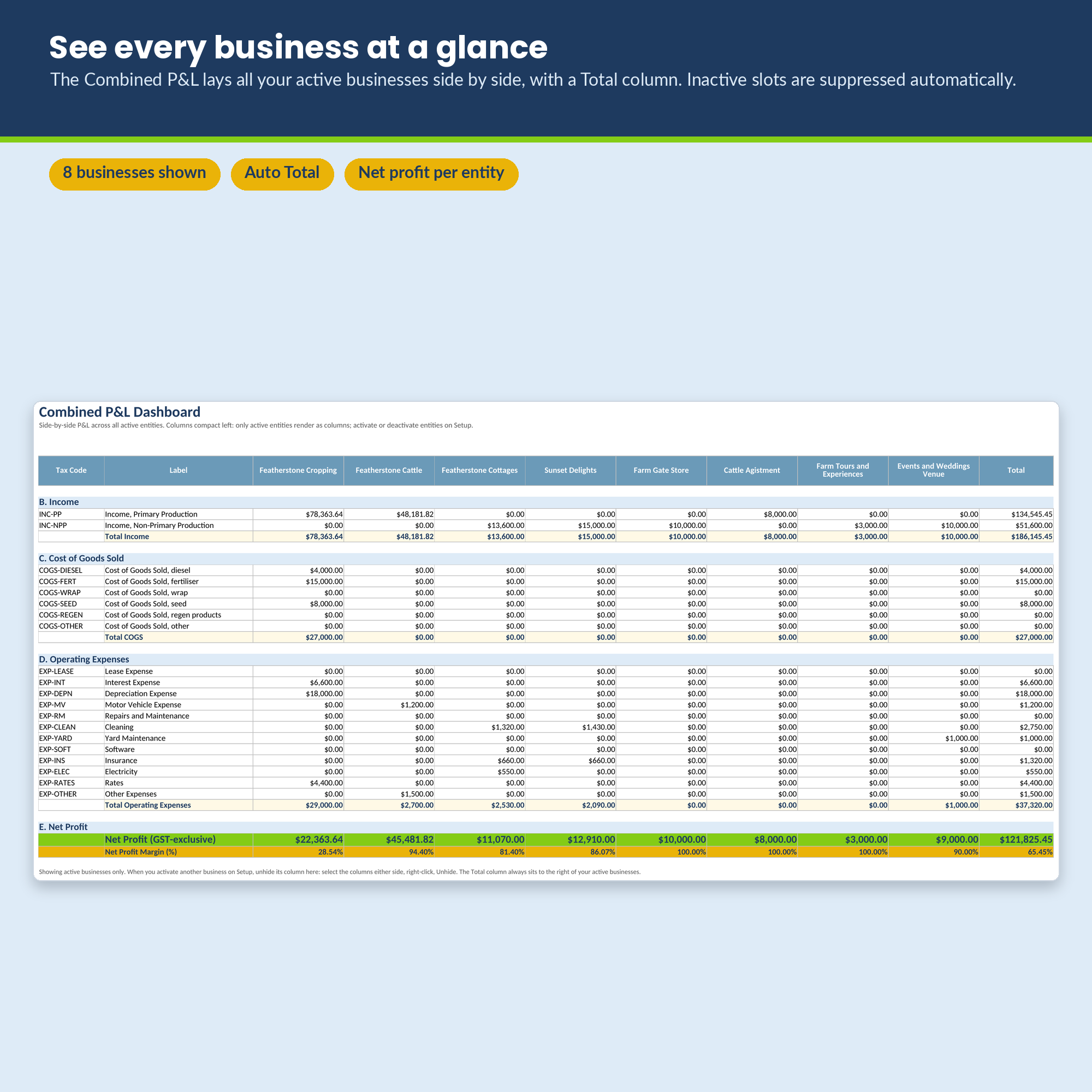 LedgerLine Multi-Entity combined profit and loss dashboard showing several businesses side by side