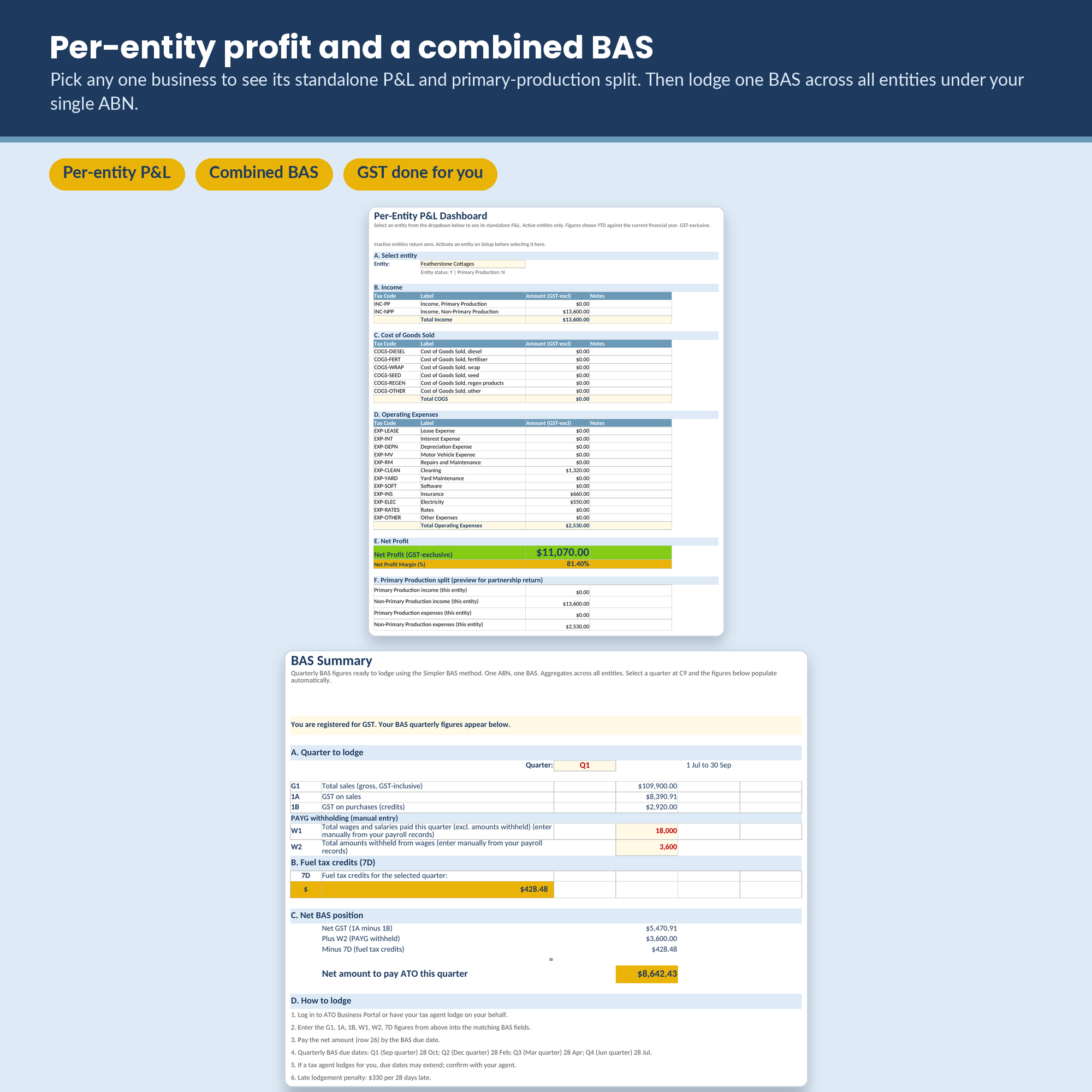 Per-entity profit and a combined BAS
